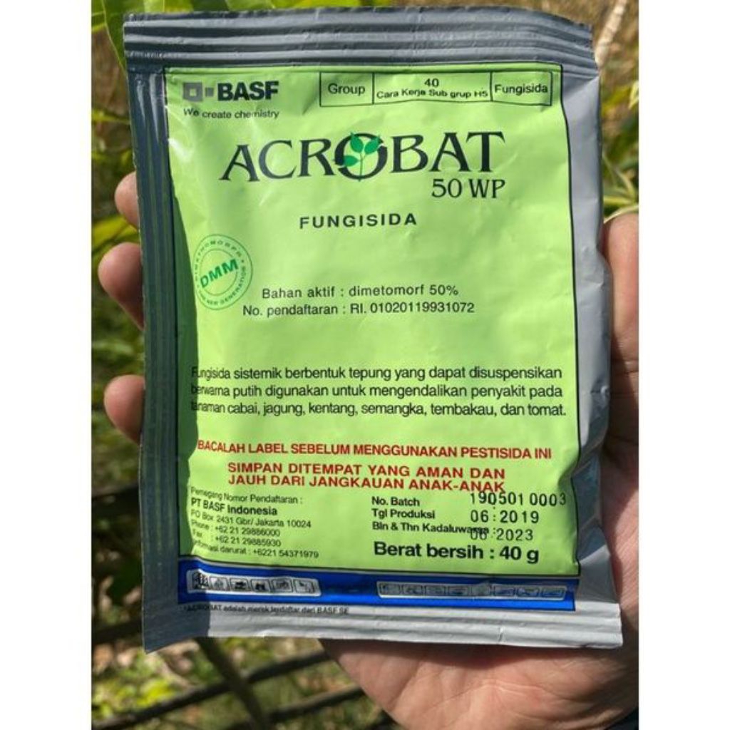 Acrobat 50WP 40gr