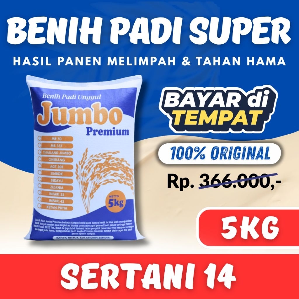 PADI UNGGUL SERTANI 14 PREMIUM padi Unggul sertani 14 kemasan 5 kg Berkualitas Super