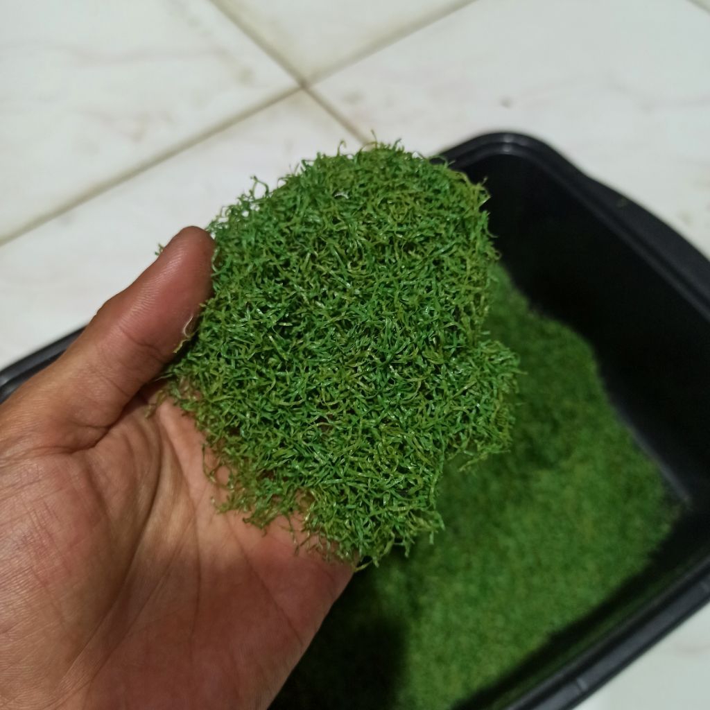 Rumput Tabur Berbahan Plastik Untuk Diorama, Kerajinan & Aquascape