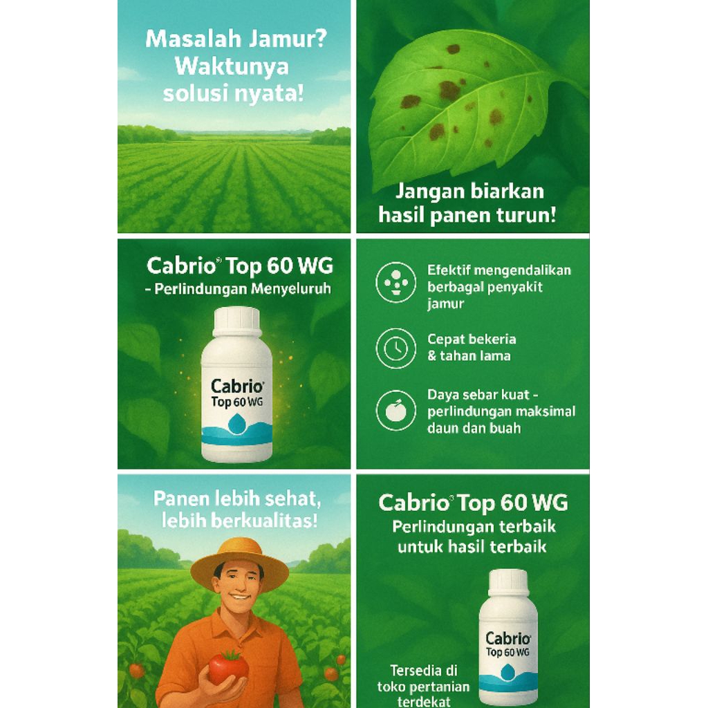 Cabrio Top 60 WG 250 g