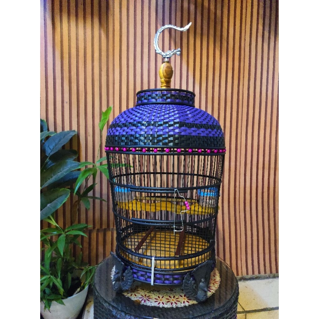 Sangkar burung perkutut / sangkar lomba perkutut