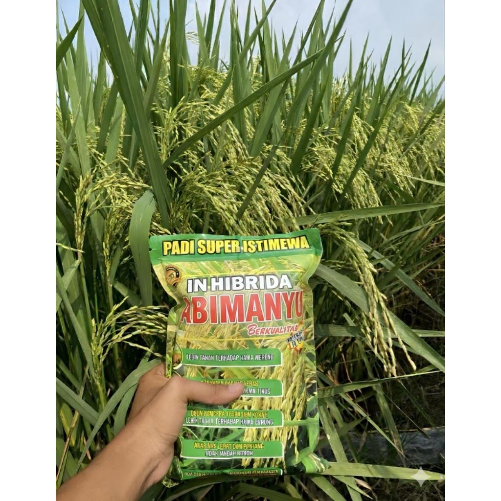 Benih Padi IN HIBRIDA ABIMANYU Kemasan 7KG, Benih Padi Super Istimewa