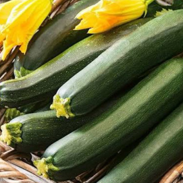 Timun Zucchini Import