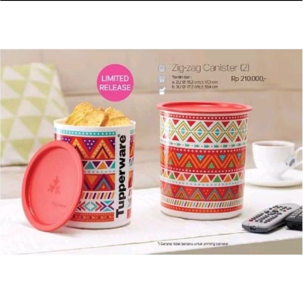 Zig Zag Canister Tupperware