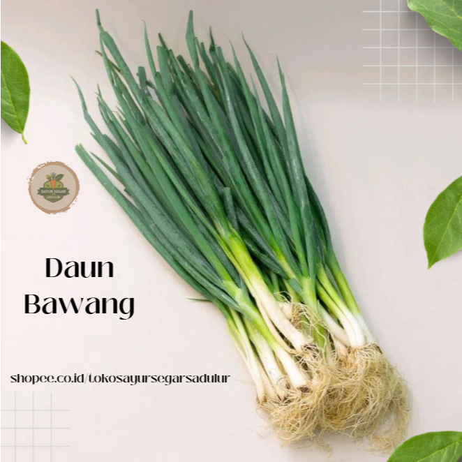 Daun Bawang