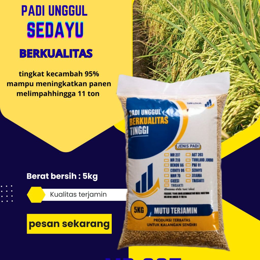 BENIH PADI SEDAYU KEMASAN 5KG