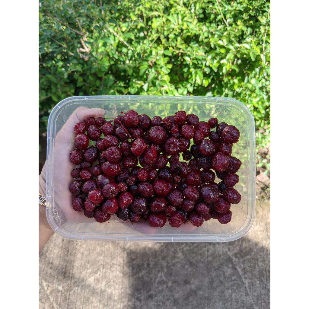 Manisan Buah Cermai Segar Asam Manis