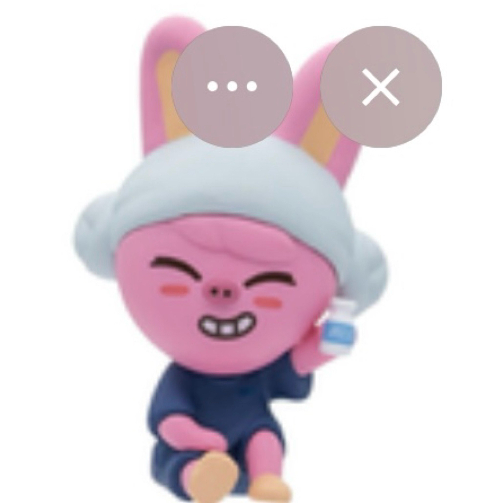 Bandai Gashapon Stray Kids SKZOO Dwaekki