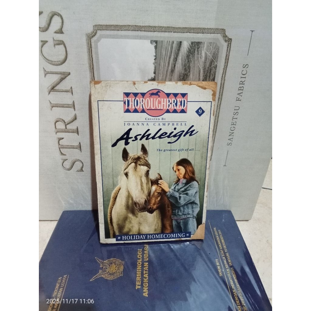 ORIGINAL NOVEL THOROUGHBRED ASLEIGH