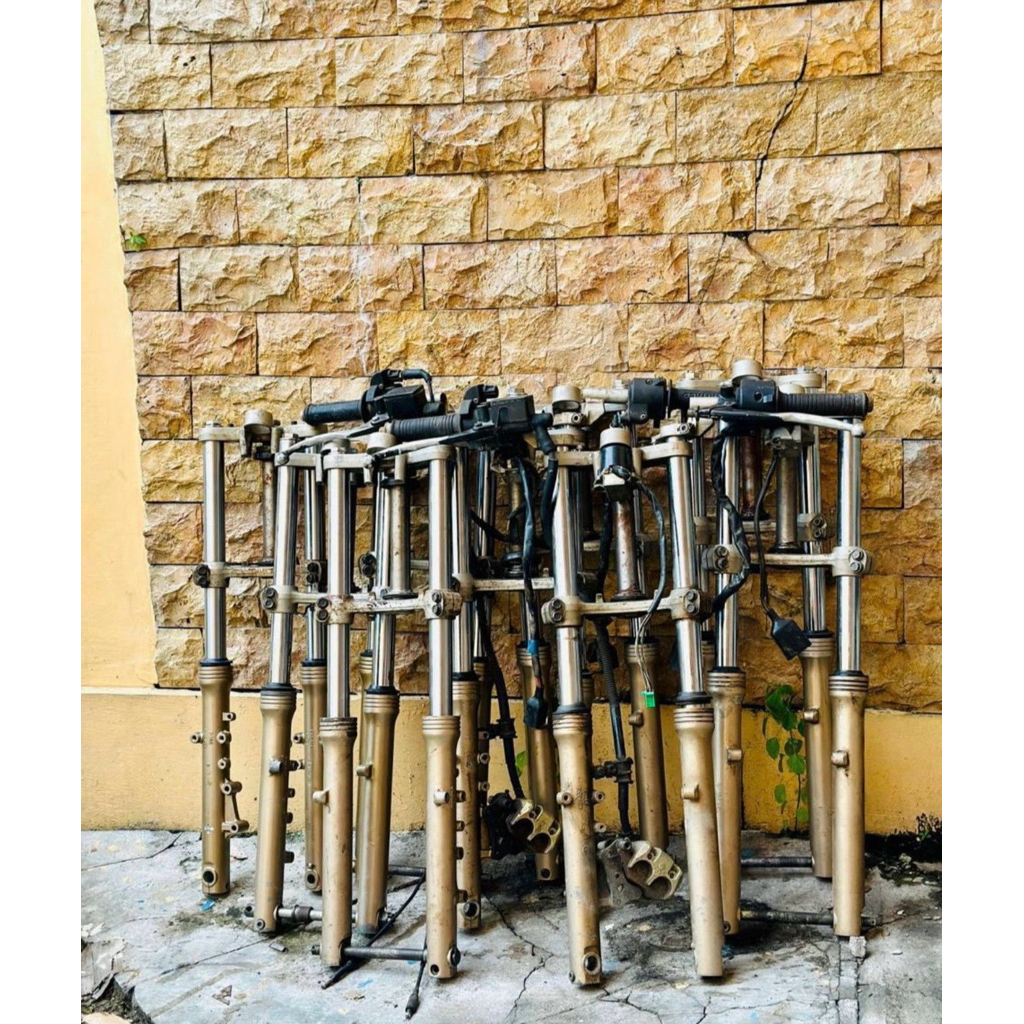 skok ninja rr zx gold cat original