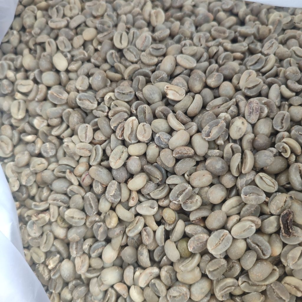 Green Bean Kopi Luwak Liar Arabika Gunung Sumbing – Biji Mentah Premium