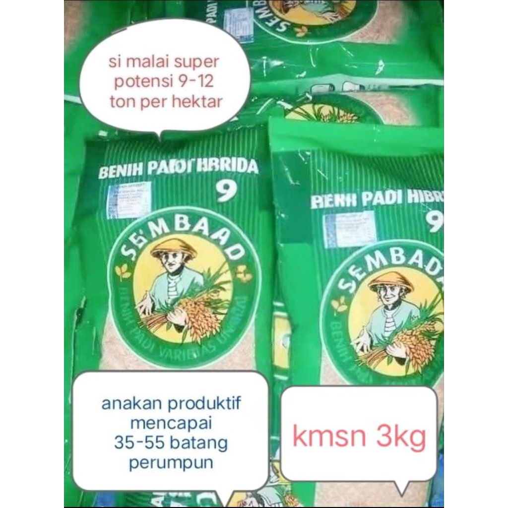 Benih Padi Sembada 989 3kg Kualitas Unggul