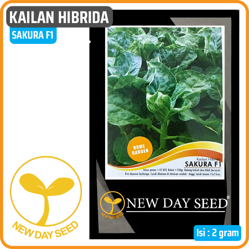 Benih Kailan - Sakura F1 (New Day Seed)