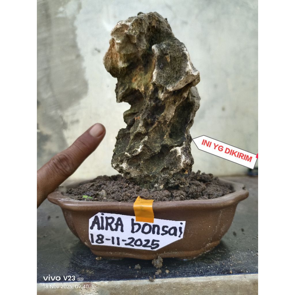 batu karang gunung unik