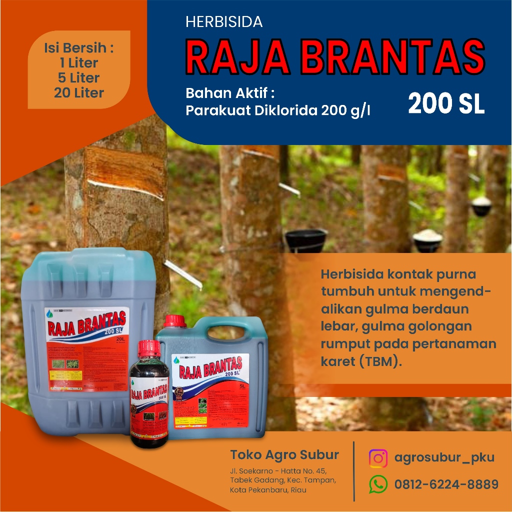 RAJA BRANTAS 200SL 20 LITER HERBISIDA PARAKUAT
