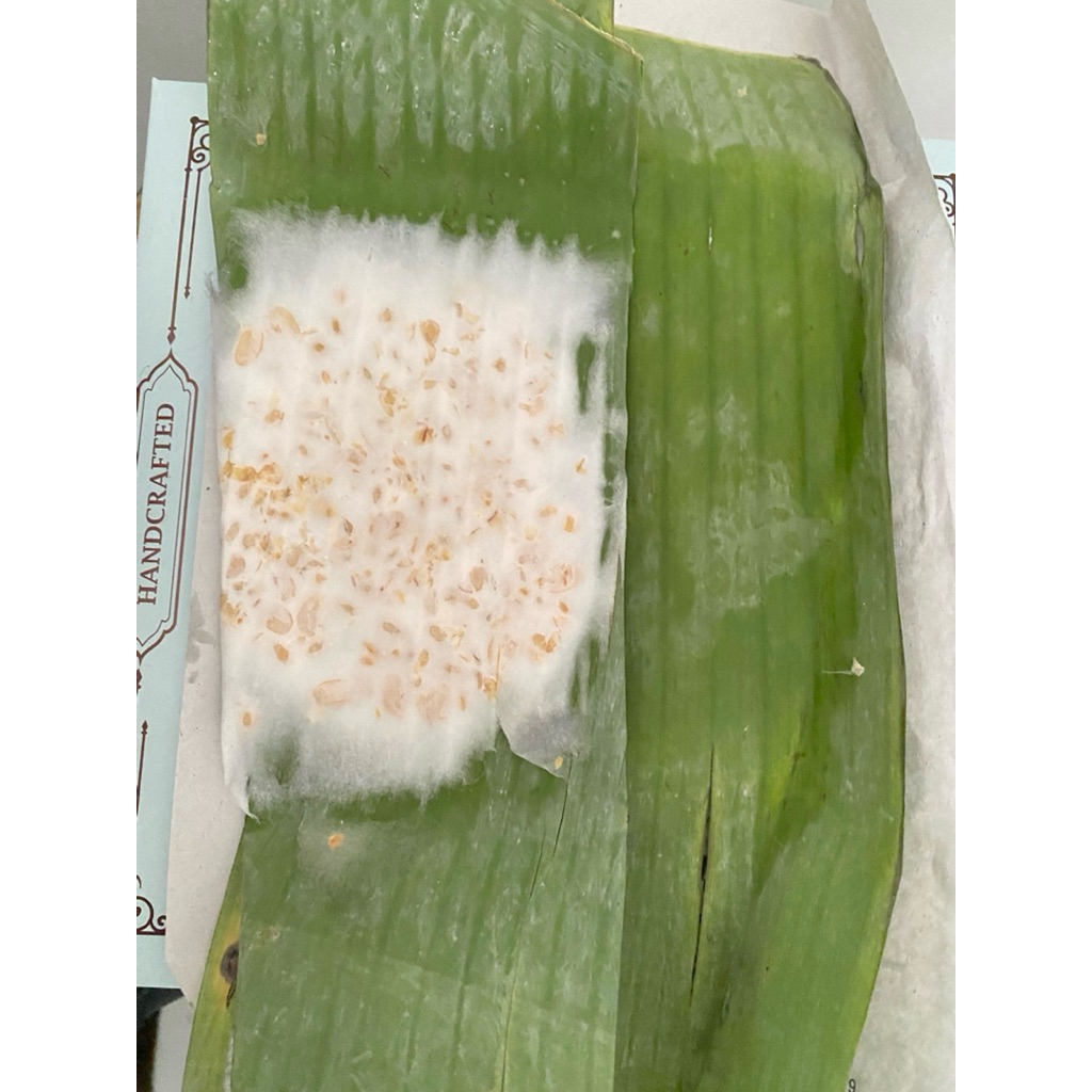 Tempe Mendoan Mentah | Tempe Papan | Tempe Koro Daun Pisang | Oleh Oleh Purwokerto Banyumas | Bisa C