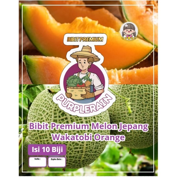 Bibit Premium Melon jepang Wakatobi Orange | Biji Benih Melon Jepang Wakatobi | Melon Jepang Wakatob