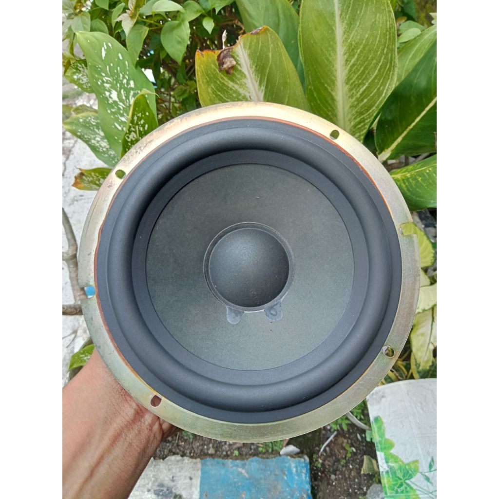 Speaker Woofer Sony 6 inch/speaker 6 inch