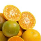 JERUK MANDARIN MURCOT 1kg