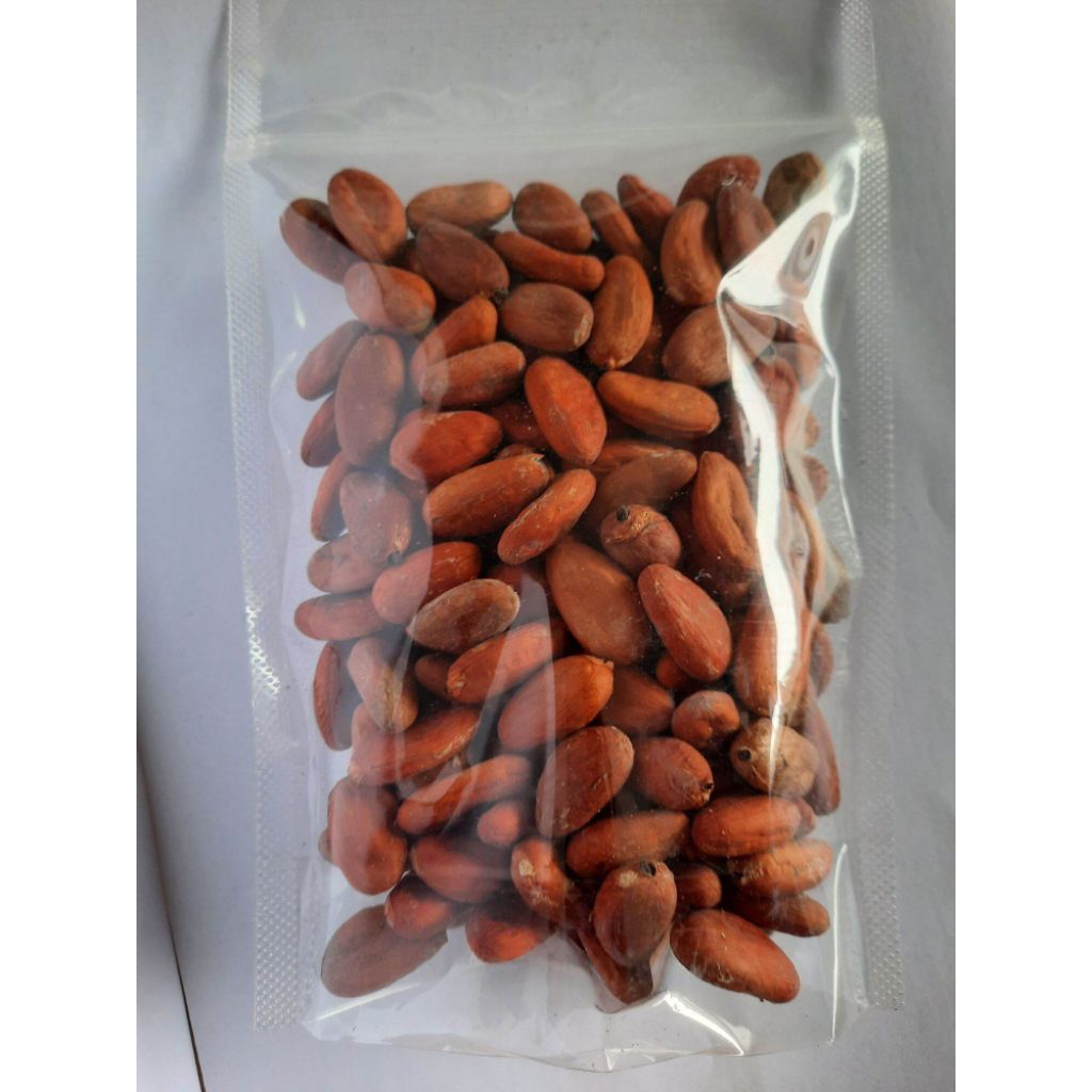 buah kakao