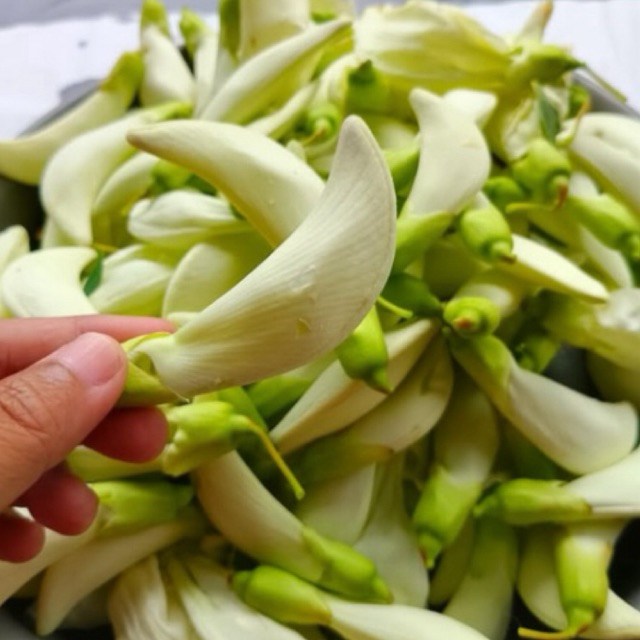 KEMBANG TURI 1KG/BUNGA TURI 1KG/KEMBANG TURI PUTIH/BUNGA TURI PUTIH/SAYURAN KEMBANG TURI/SAYURAN BUN