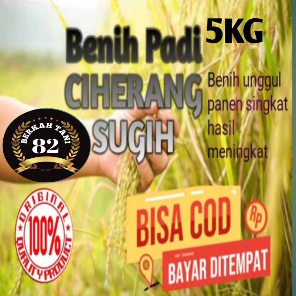 BENIH PADI UNGGUL CIHERANG SUGIH BENIH PADI SUPER ORIGINAL KEMASAN 5KG