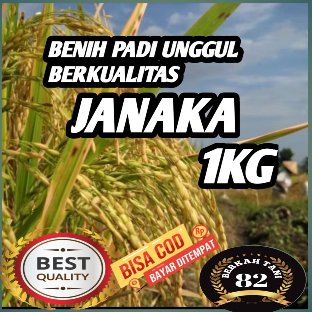 BENIH PADI JANAKA BENIH BENIH PADI UNGGUL BERKUALITAS (1KG)