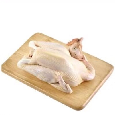Ayam Kampung Utuh 1 ekor