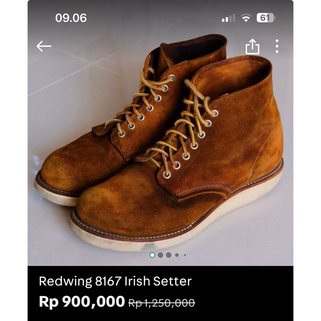 redwing irish setter pesanan crsl