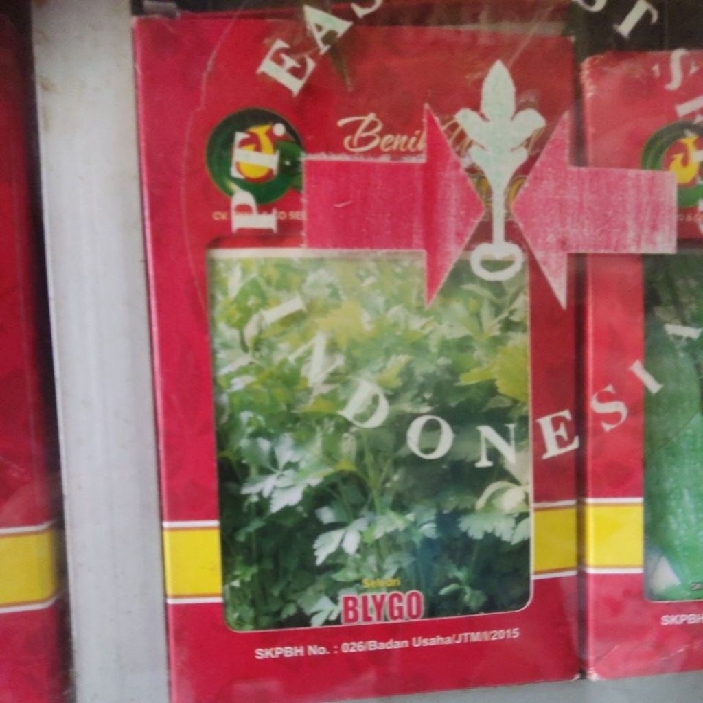 JAWARA_(Kecil)4-10GR