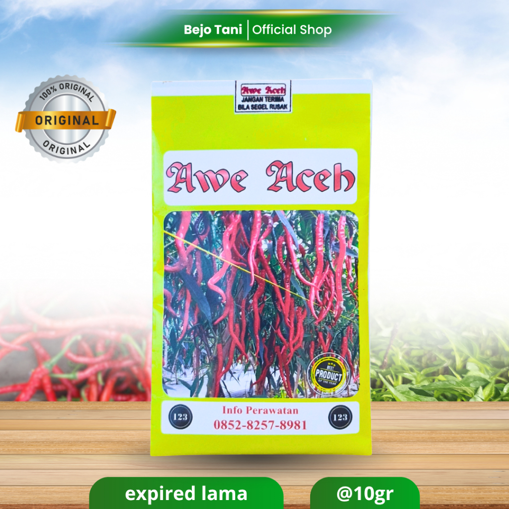Benih Cabe AWE ACEH 10gr Original Bibit Cabe Keriting AWE ACEH Perawatannya Lebih Mudah