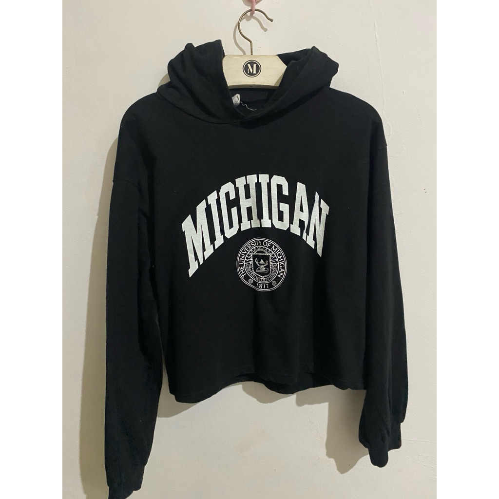 hoodie michigan crop