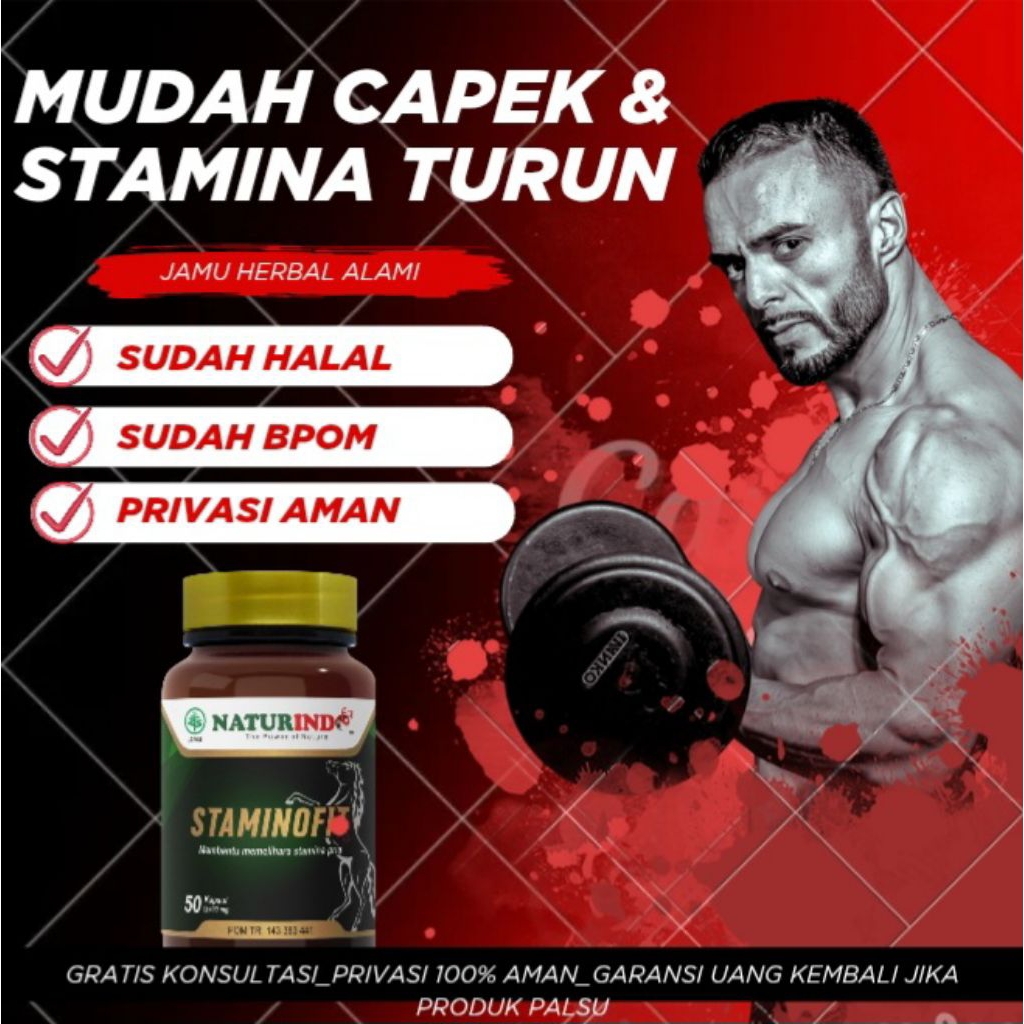 STAMINOFIT HERBAL Solusi Stamina Turun Mudah Capek  Naturindo