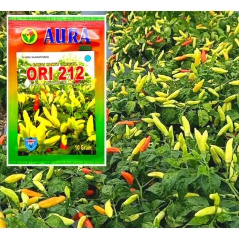 PROMO Benih Cabe Rawit Merah ORI 212 by Auraseed Indonesia 10 gram - ORI 212 Benih Cabe Viral