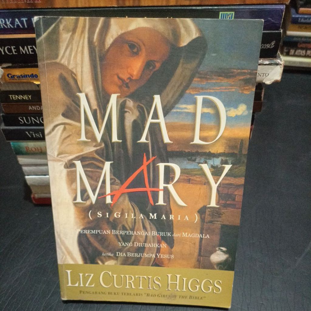 Buku mad Mary( si gila Maria) by Liz Curtis Higgs