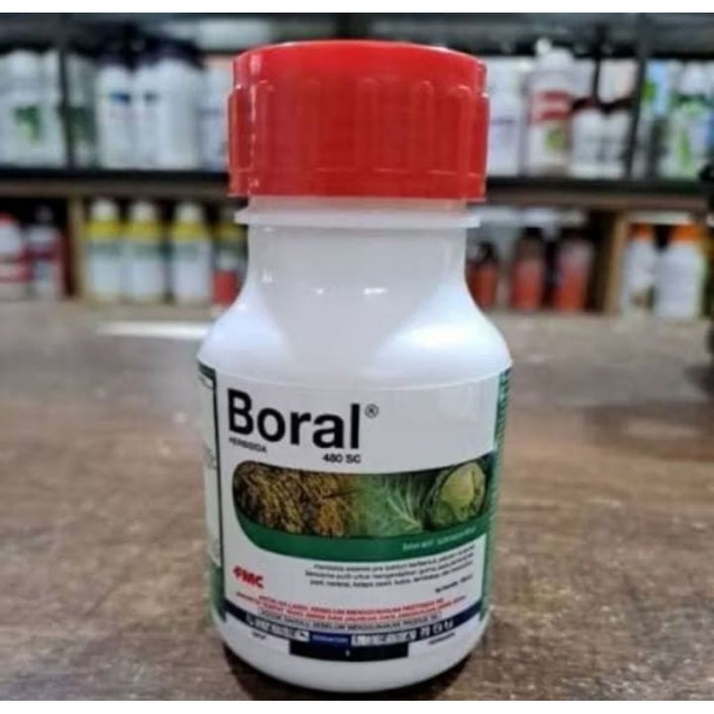 Boral 480 SC