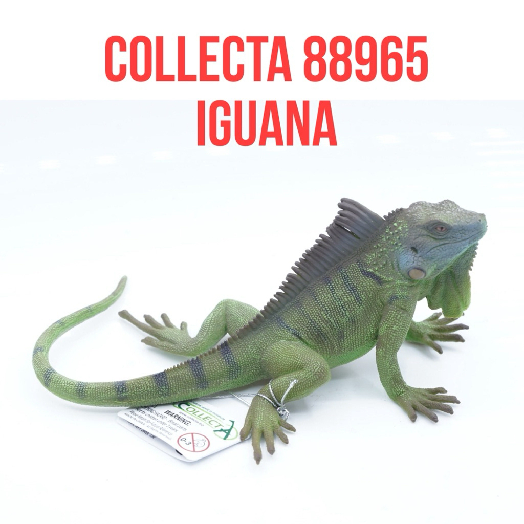 Collecta 88965 | Iguana Reptile Kadal Iguana Hijau Reptil Amerika | Mainan Figure Binatang Miniature