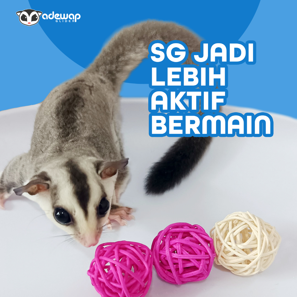 ADEWAP GLIDER Mainan Bola Rotan Aktivitas Harian Anti Bosan Sugar Glider
