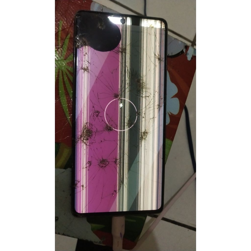 samsung s10lite minus lcd