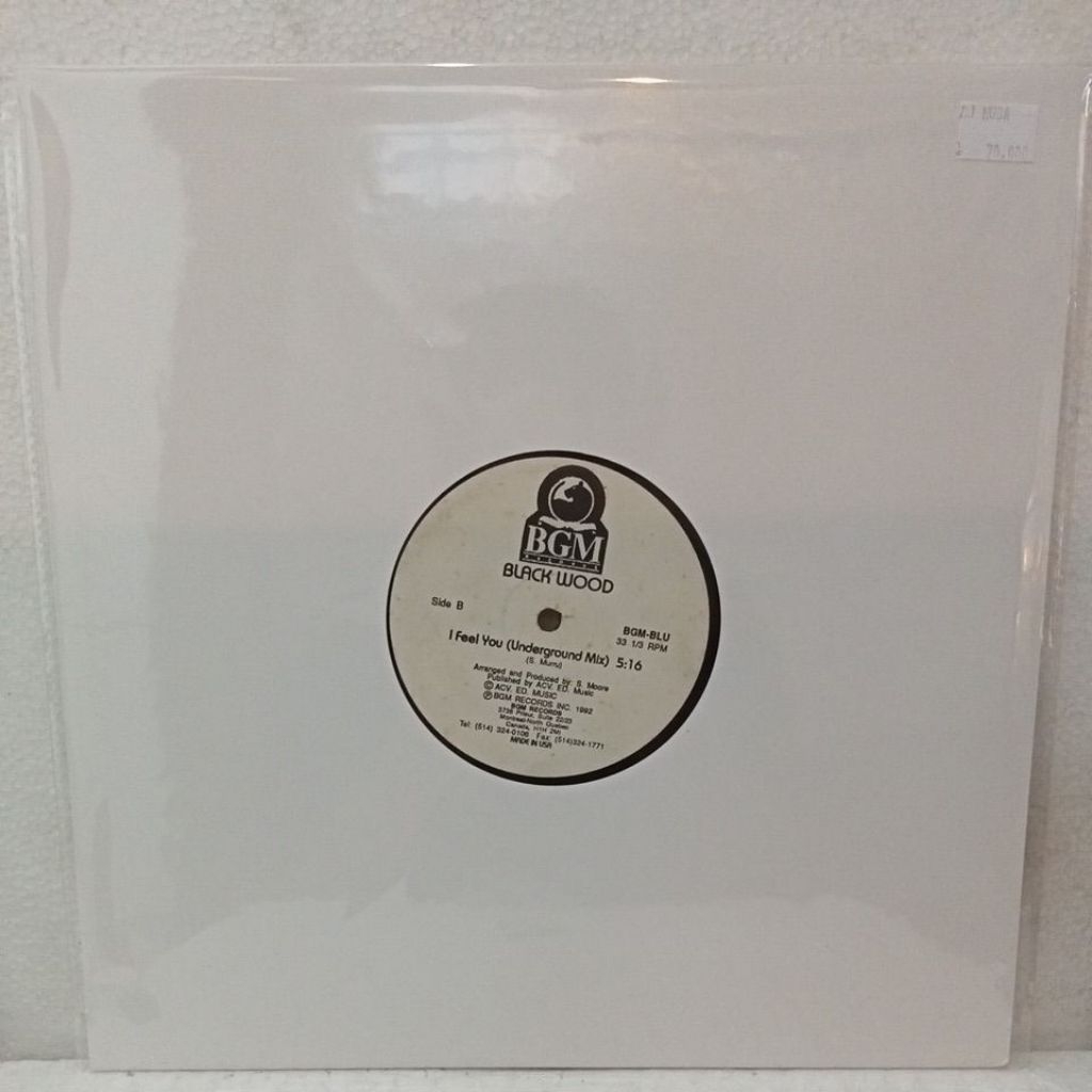 Vinyl DJ Piringan Hitam 12 inch Black Wood - I Feel You