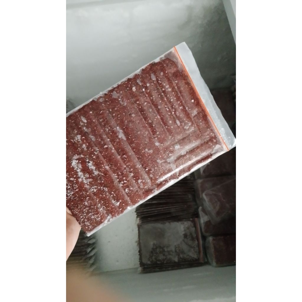 CACING BEKU LEMPENG / CACING BEKU KEMASAN 250 GR / CACING BEKU /CACING BEKU MURAH