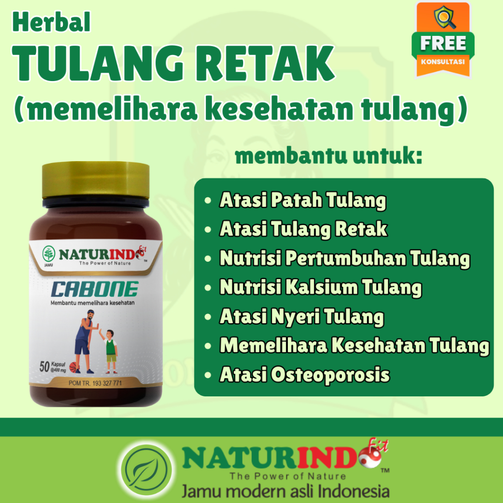 Herbal Tulang Retak Menjaga Kesehatan Tulang Pemulihan Patah Tulang Retak Nutrisi Kesehatan Tulang