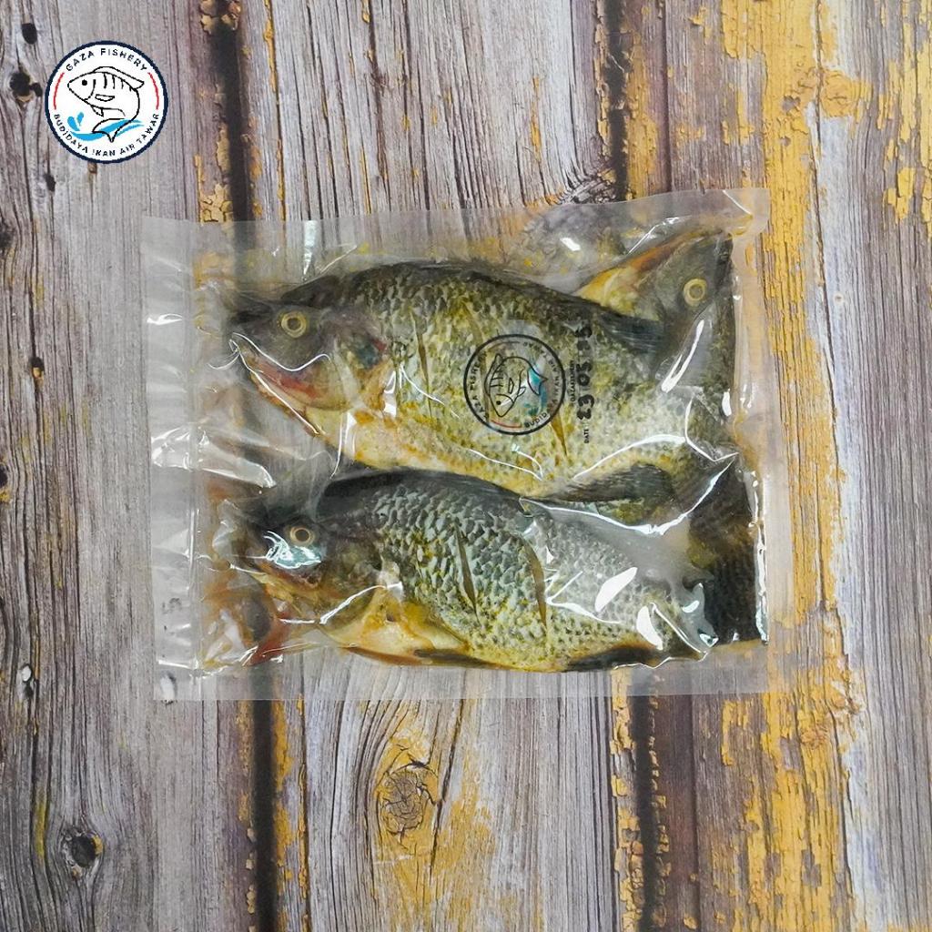 Ikan Nila Marinasi Bumbu Kuning Ikan Nila Segar Frozen