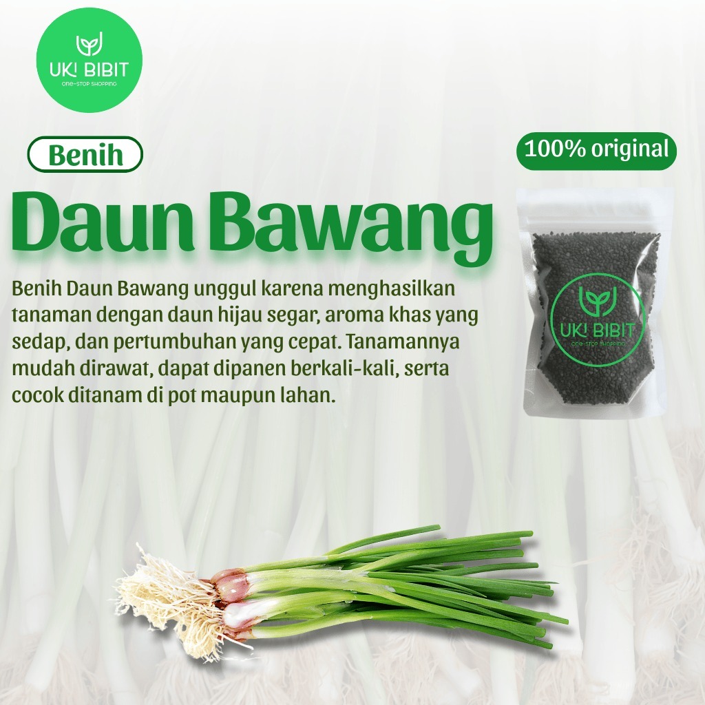 ( 100 Gram ) Benih Biji Daun Bawang Dataran Rendah | Bawang Daun | Allium Fistulosum