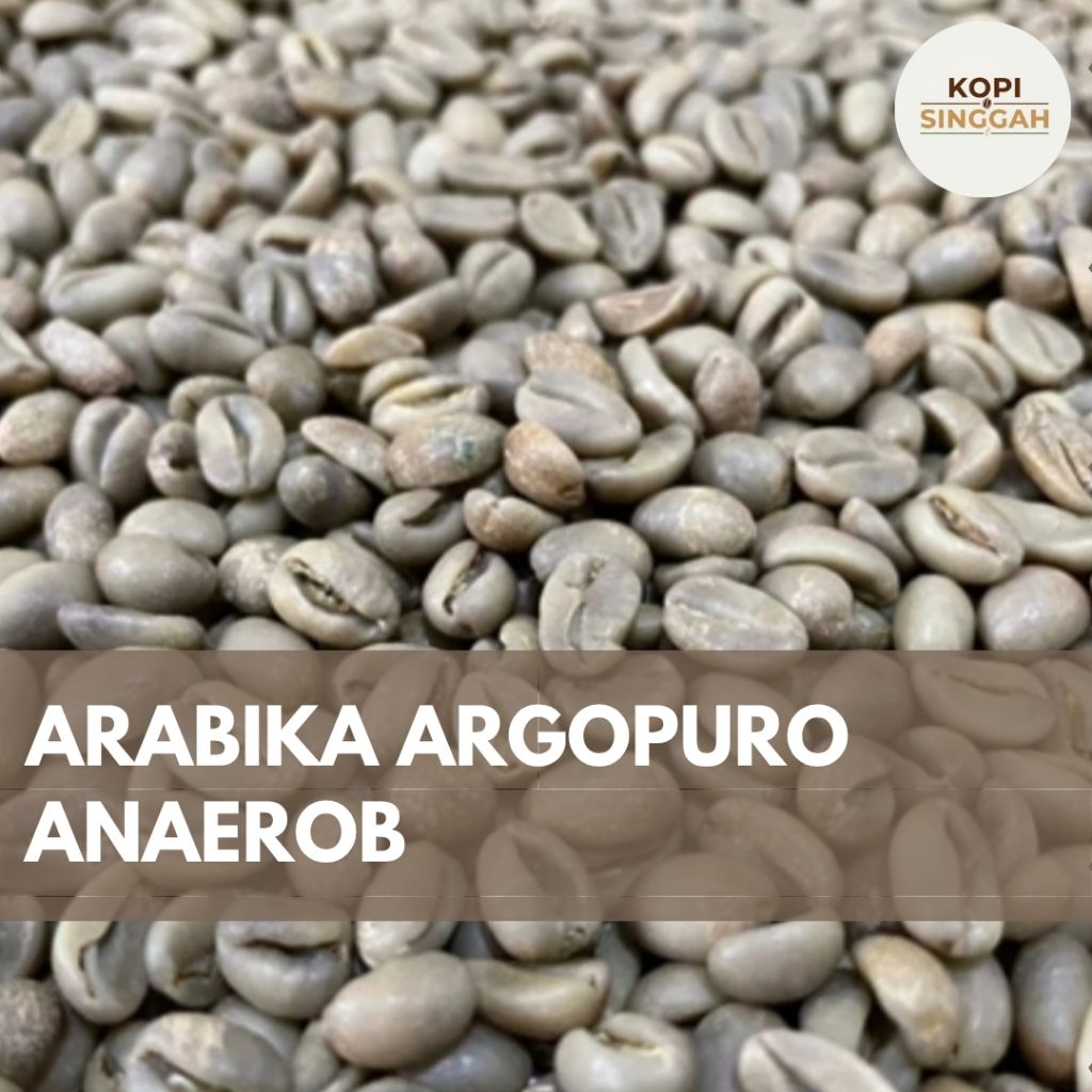 GreenBean Arabika Argopuro Anaerob Proses