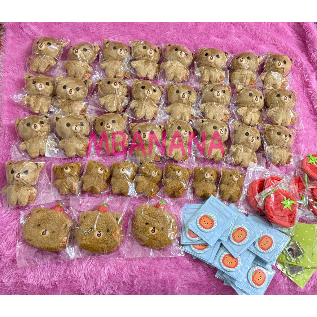 [READY STOCK] SEALED GOMDO TOMDO LEE 2025 VERS TAG COKLAT