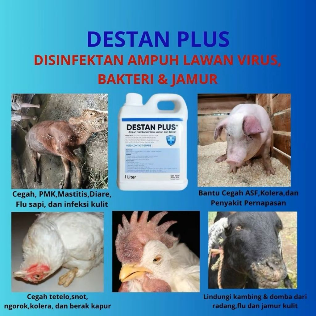 Desinfektan Kandang 1 Liter -Desinfektan Anti Pmk - Desinfektan Bkc 10% Aroma Jeruk -Desinfektan Tbk