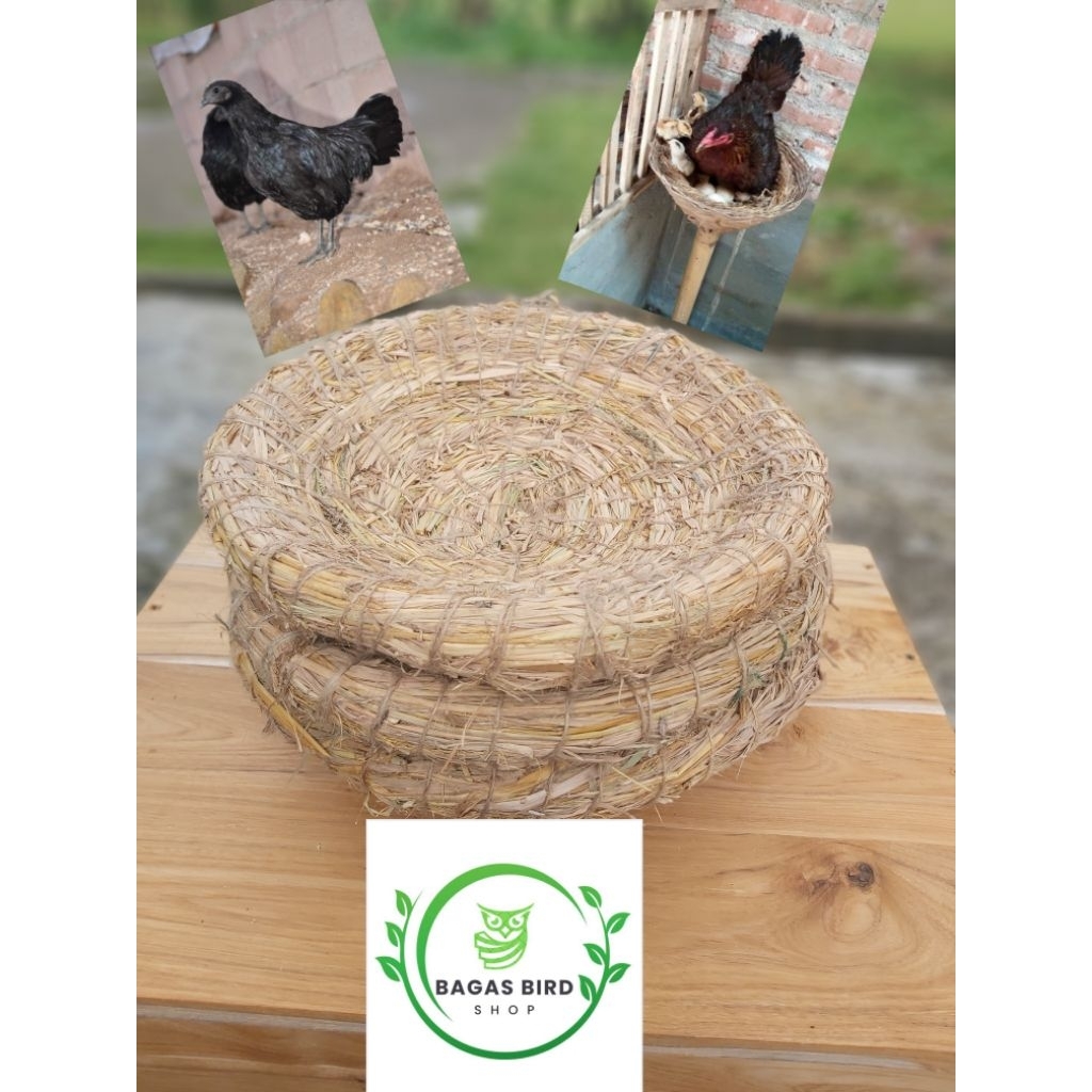 Tarangan ayam tempat bertelur ayam