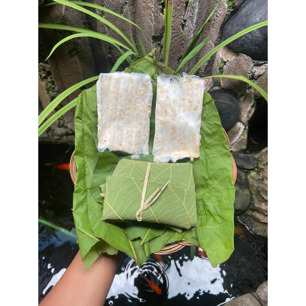 Tempe Mendoan Daun Jati Khas Wonogiri 1 paket 10 bungkus isi 20 tempe
