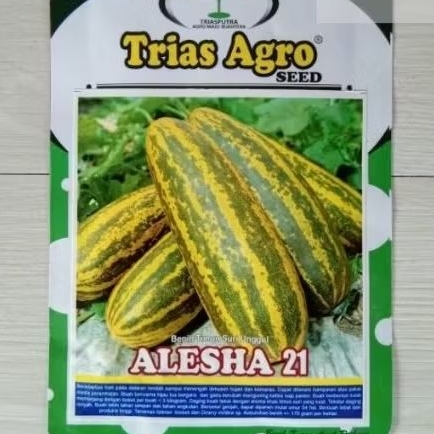 benih timun suri ALESHA 21 isi 10gr